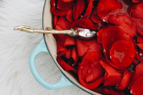 Ảnh: motherearthliving.