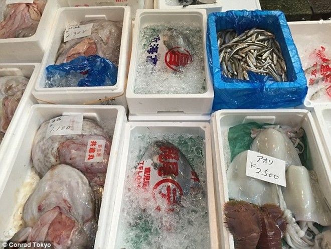 Mọi người đi lại, trao đổi, mua bán vô cùng nhộn nhịp. Nếu đến chợ vào độ 5 giờ sáng, bạn còn có cơ hội được xem trực tiếp những phiên đấu giá cá ngừ. Còn bên ngoài chợ là những nhà hàng sushi ấm cúng và các cửa hàng nhỏ bán đồ dùng nấu bếp.