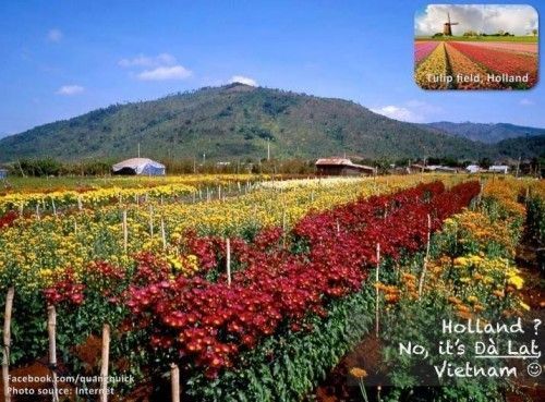 travelviet20