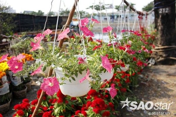 khongkhiTetSaiGon2016 (29)