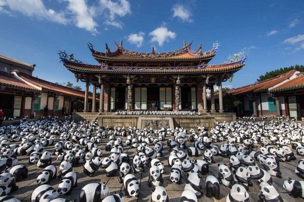pandathai05