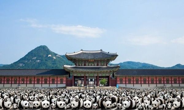pandathai07