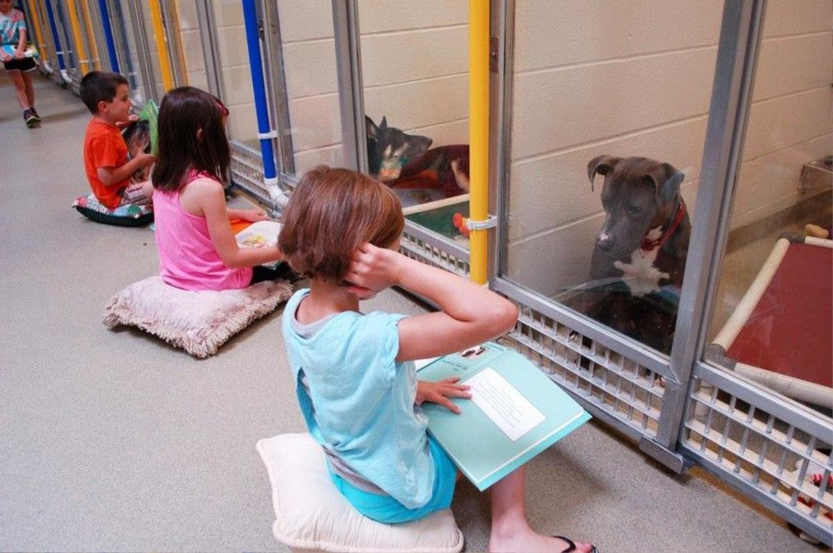 kids-read-shelter-dogs-human-society-of-missouri-3